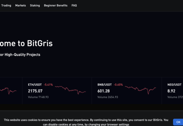 Bitgris Review – A New Unregulated Scam Broker