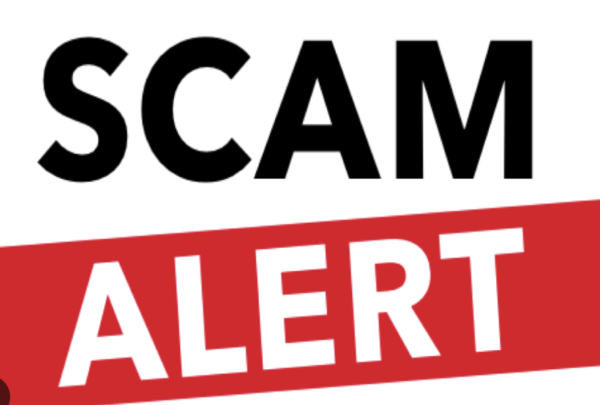 Screenshot 2026-03-08 at 5.35.04 PM Artosnomics.net / Artosnomics.co Exposed