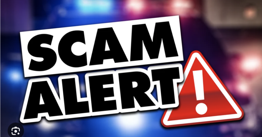 Coinhako24h.vip / Coinhakoaffil.com Exposed