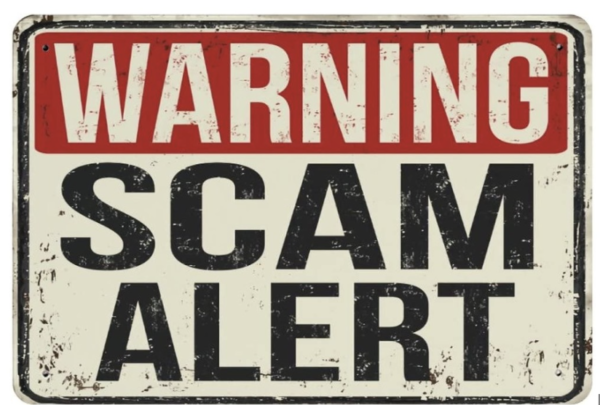 A Critical Look at the Musksanta.com Scam Claims