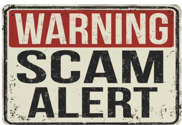 A Critical Look at the Musksanta.com Scam Claims