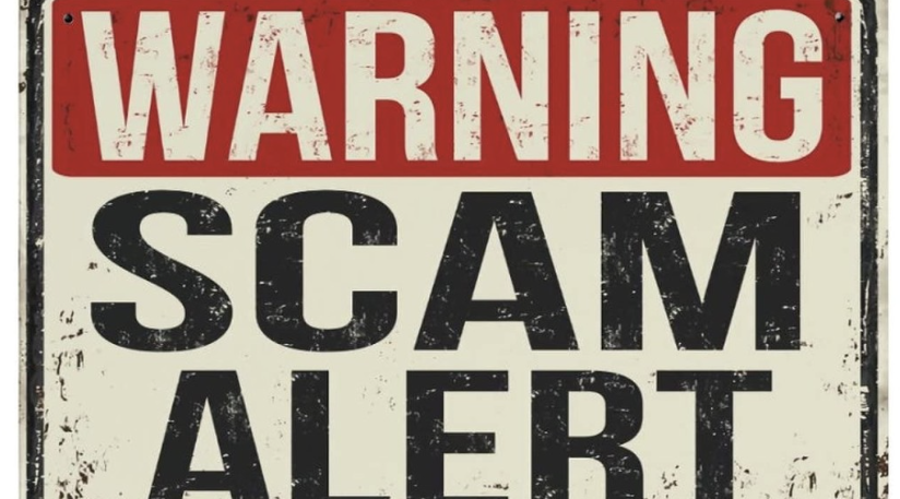 A Critical Look at the Musksanta.com Scam Claims